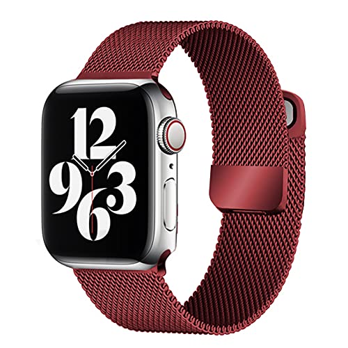 Apple Watch Milanese Edelstahl Armband