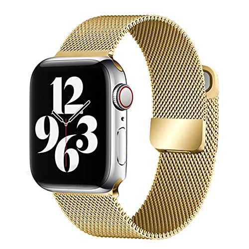 Apple Watch Milanese Edelstahl Armband